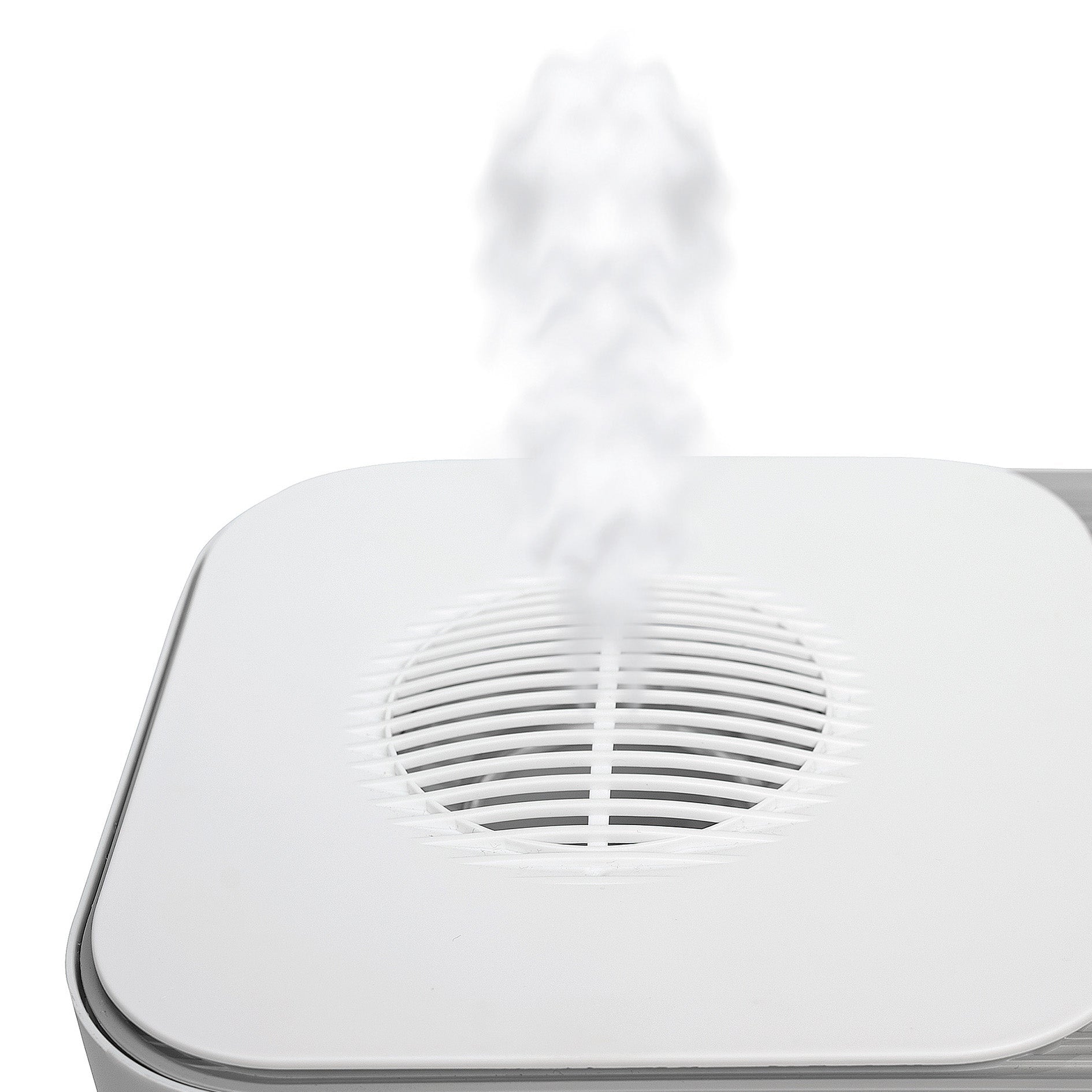 Verdampfer Astra - kitchen - more.ch