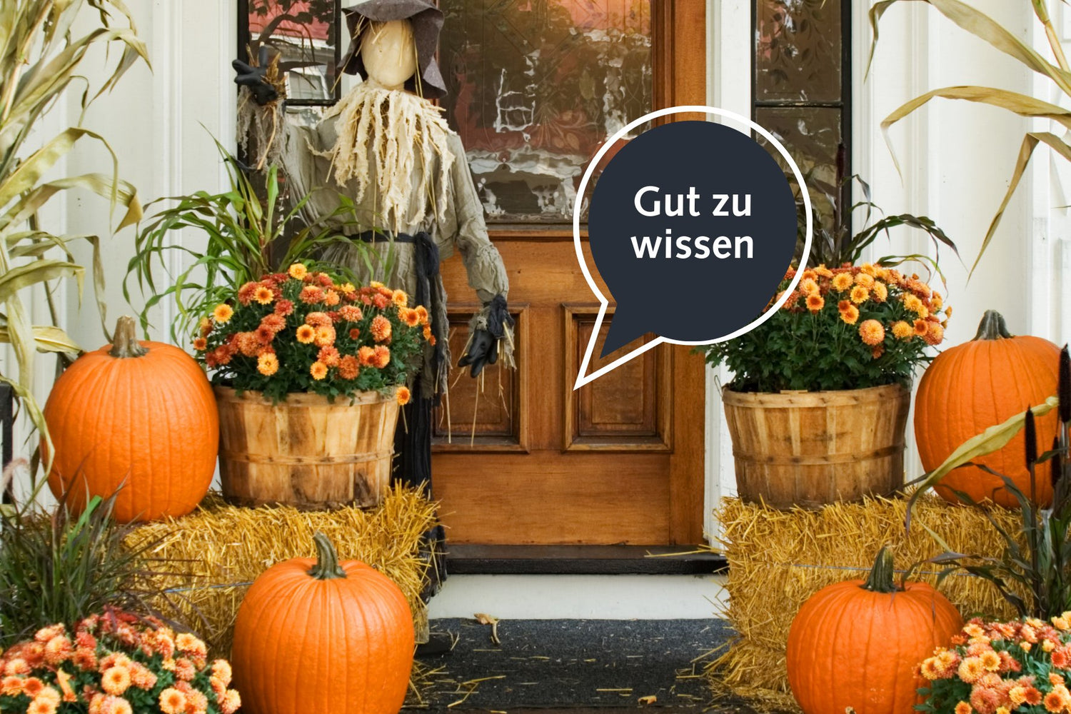 was ist Halloween? - kitchen-more.ch